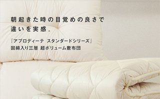 元 LP のファーストビュー（縮小）