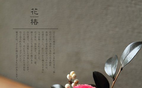 元 LP のファーストビュー（縮小）
